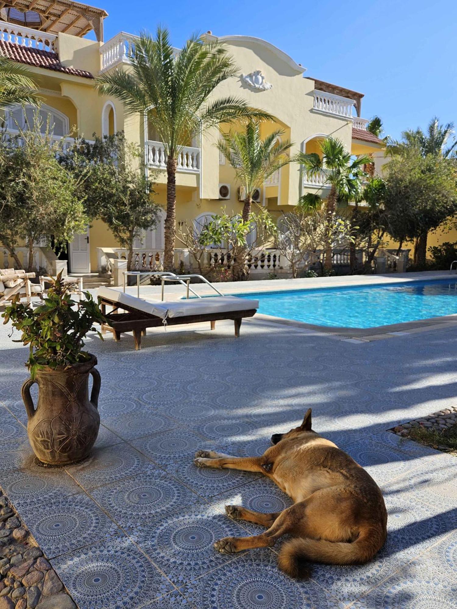 Villa Shahrazad Хургада Екстериор снимка